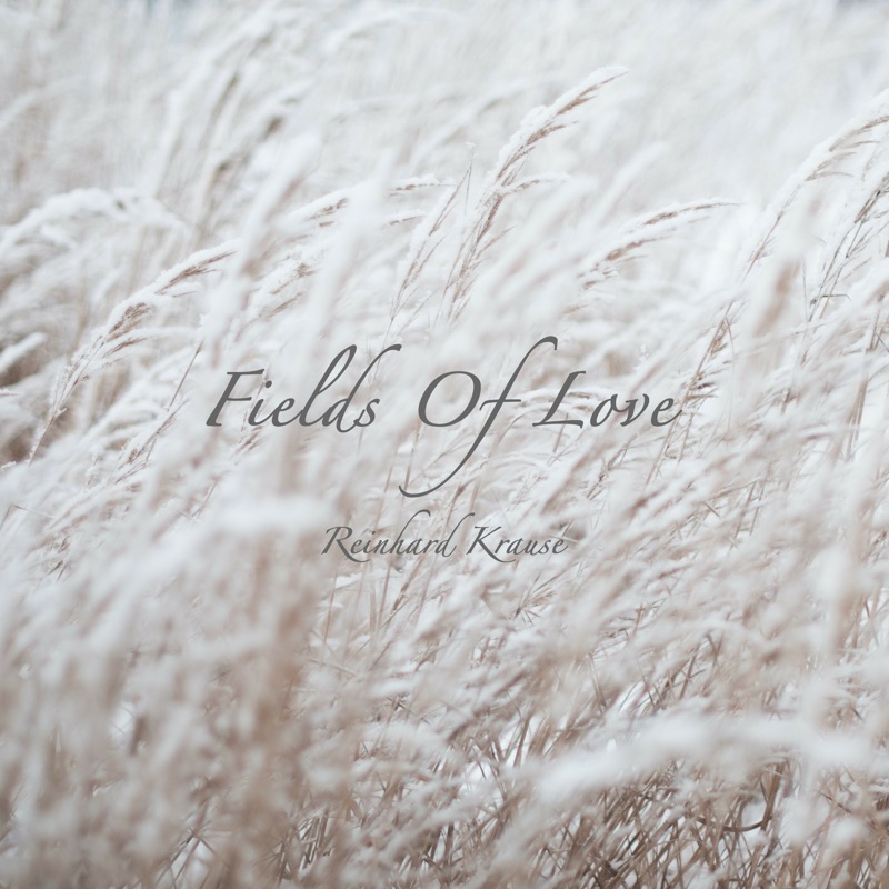 Fields Of Love - Single
