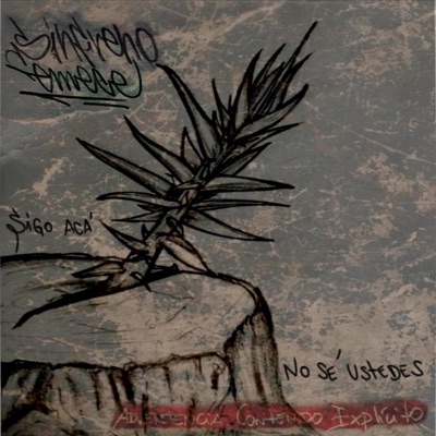 Sigo Acá, No Sé Ustedes.