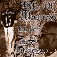 Life Of Madness, Vol. 2 - Ese 40'z