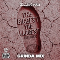 The Largest Freestyle - Single - Tellzdagrinda