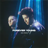 Forever Young — VIZE, Roman