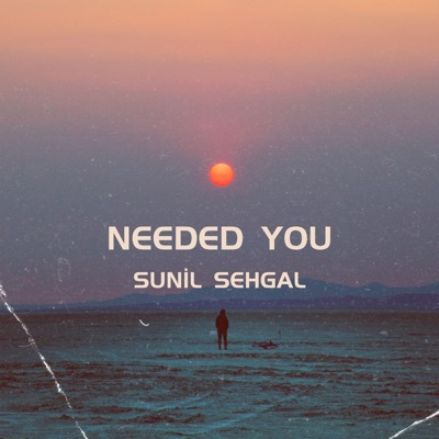 Needed You - Single