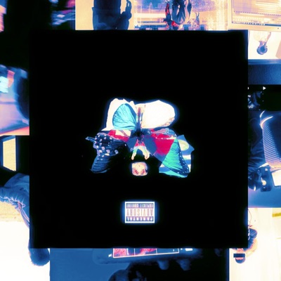 Multiple Flows Mixtape