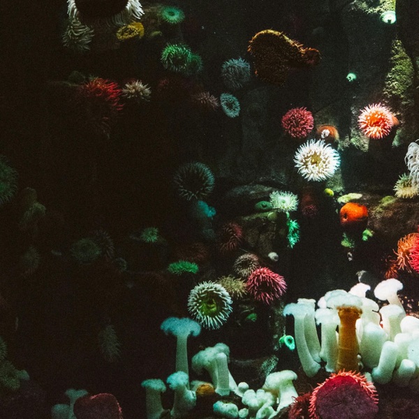 Water World