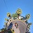 LASVEGAS HUMMINGBEES
