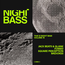 This is Night Bass: Vol. 16 - EP - Various Artists Cover Art