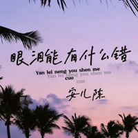 眼泪能有什么错 - Single - 安儿陈