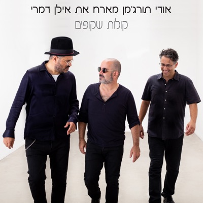 קולות שקופים - Single