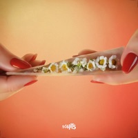 Vida Leve - Single - MÜLL