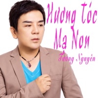 Hương Tóc Mạ Non - Tường Nguyên