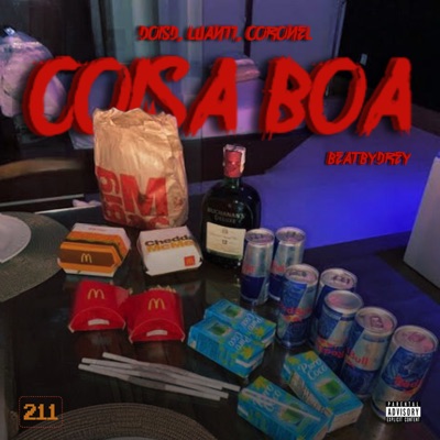 Coisa Boa (feat. Luan11) - Single