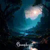 Bransboynd - Chillout Groove