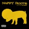 I Tried (feat. Gareth Asher) - Nappy Roots lyrics