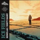Ice Fields Single
