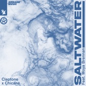 Saltwater (feat. Moya Brennan) artwork