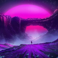 Quacklar 14 & Friends - D-Z Duck