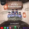 Polka Tamaulipas