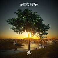 Lemon Trees - Single - Alosa & Moav