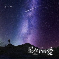 星空下的爱 - Single - Wang Ye