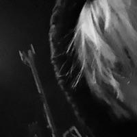 proklínat - Single - nayssone