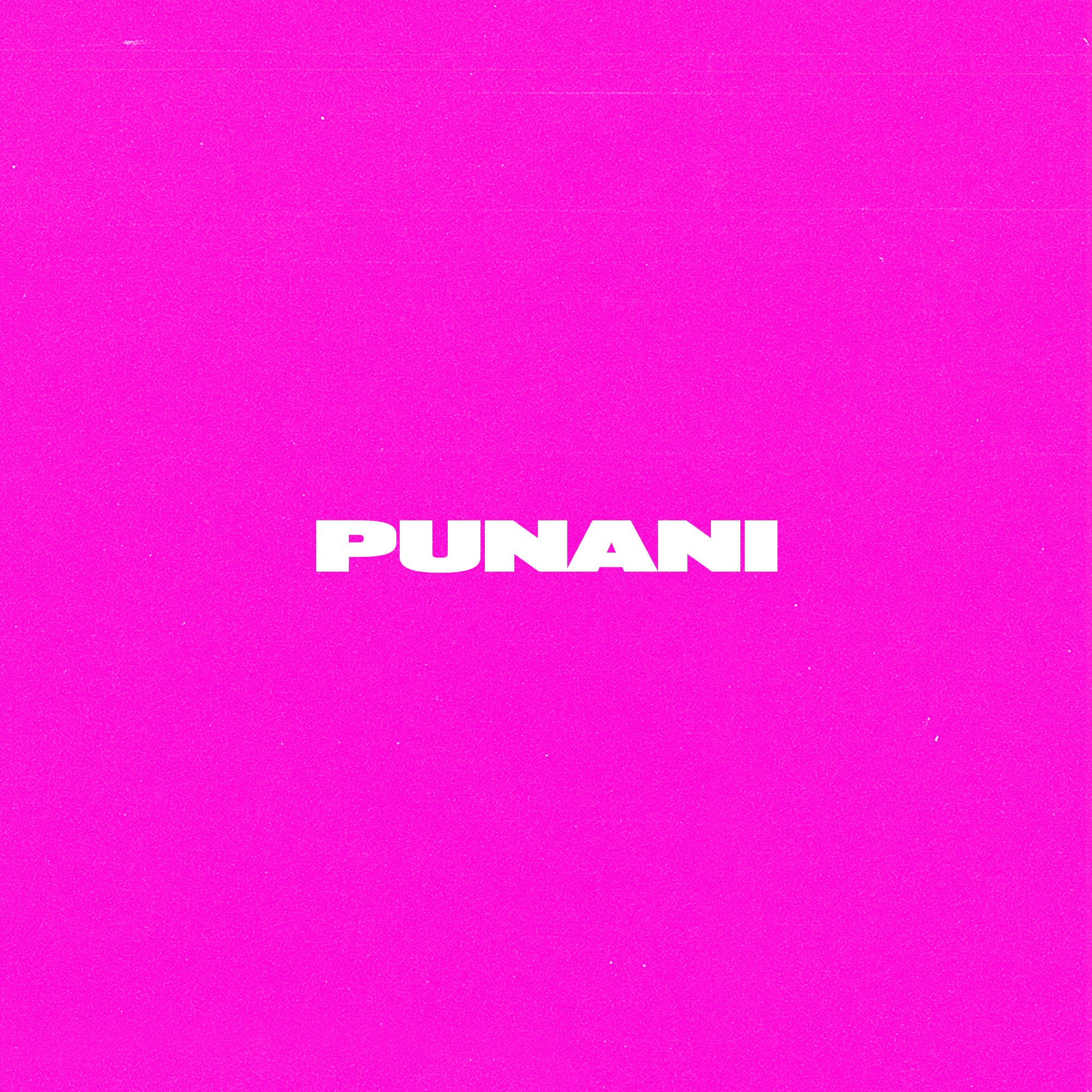 Punani - Single
