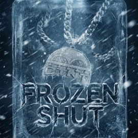 Frozen Shut Bridgez