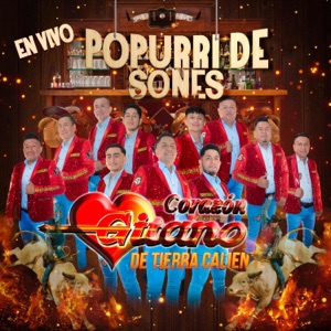 POPURRI DE SONES EN VIVO (En vivo) - Single