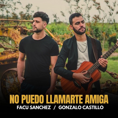 No Puedo Llamarte Amiga - Single