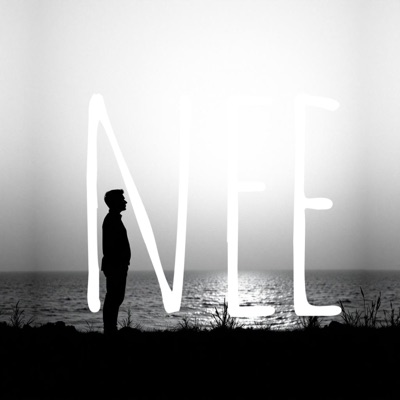 Njan Ninnarikil - Single