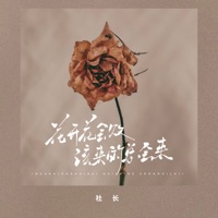花败花还开 该来的总会来 - Single - 社长