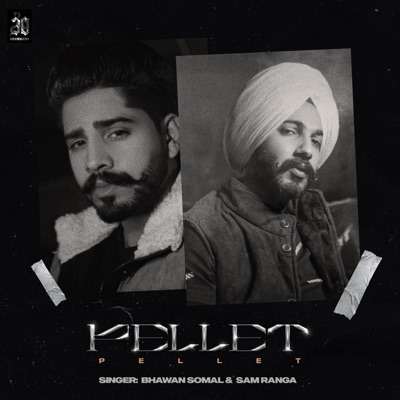 Pellet (feat. Bhawan Somal) - Single