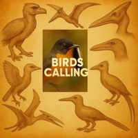 Birds Calling... - Single - Unorthadox Phantom