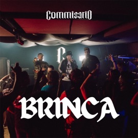 BRINCA (feat. Delinkuent3, Ygriegah & Dj QAT) Commisario