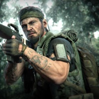 woodsock - Single - verrxnt