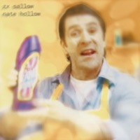 barry scott (feat. Nate Hollow) - Single - zx sallow