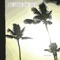 Celesty - Clouter lyrics