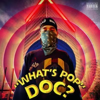 WHAT'S POP DOC? (feat. Exodus) - Single - MVL