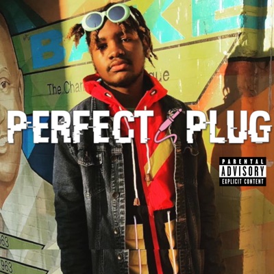 PERFECT PLUG COLLECTION (PERFECT PLUG COLLECTION) - EP