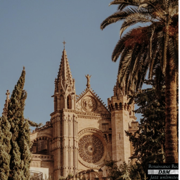 La Seu - Damian Bresnan