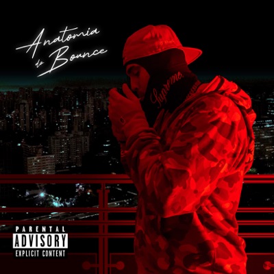 Anatomia do Bounce