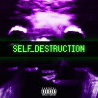 SELF_DESTRUCTION - Single - Spacy