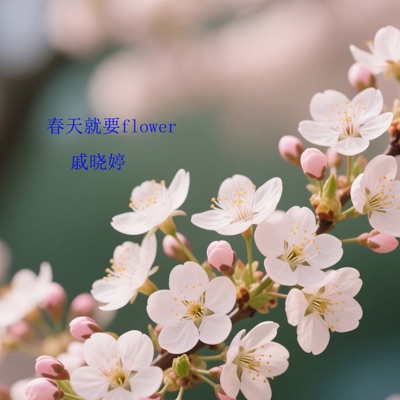 Song - 别人怎么看跟你毫无关系 - 戚晓婷