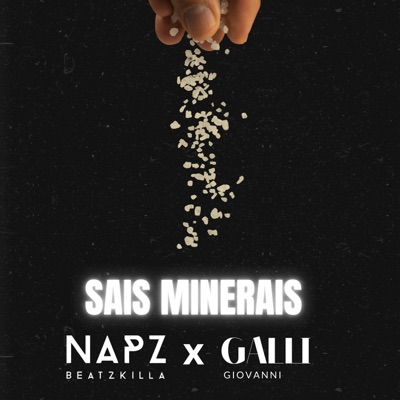 Sais Minerais (feat. Giovanni Galli) - Single