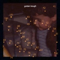 golden bough - Single by pity xerox on Apple Music