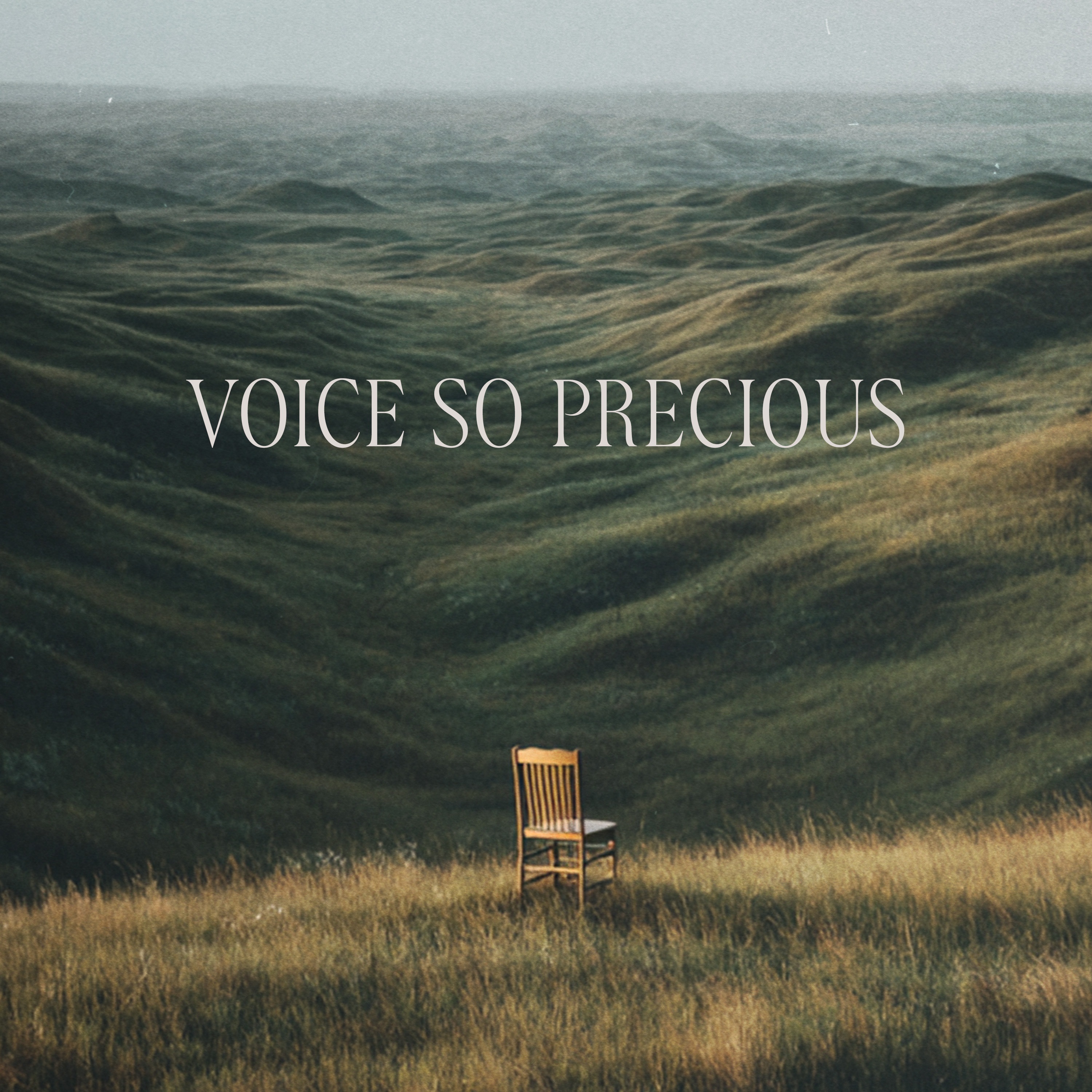Voice So Precious - Single