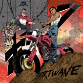 DIRTWAVE, VOL. 1 artwork