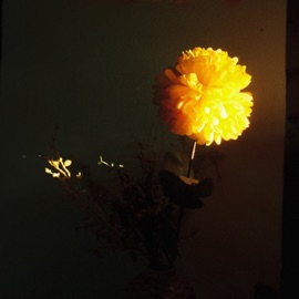 FLOWERS Gabriel & CUBE