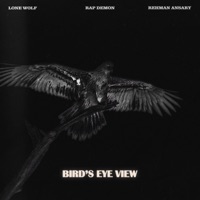 Bird's Eye View (feat. Prodbylonewolf) - Single - CGF, Rehman Ansary & Rap Demon