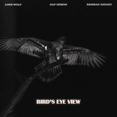 Bird's Eye View - Single