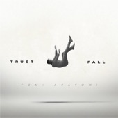 Trustfall artwork